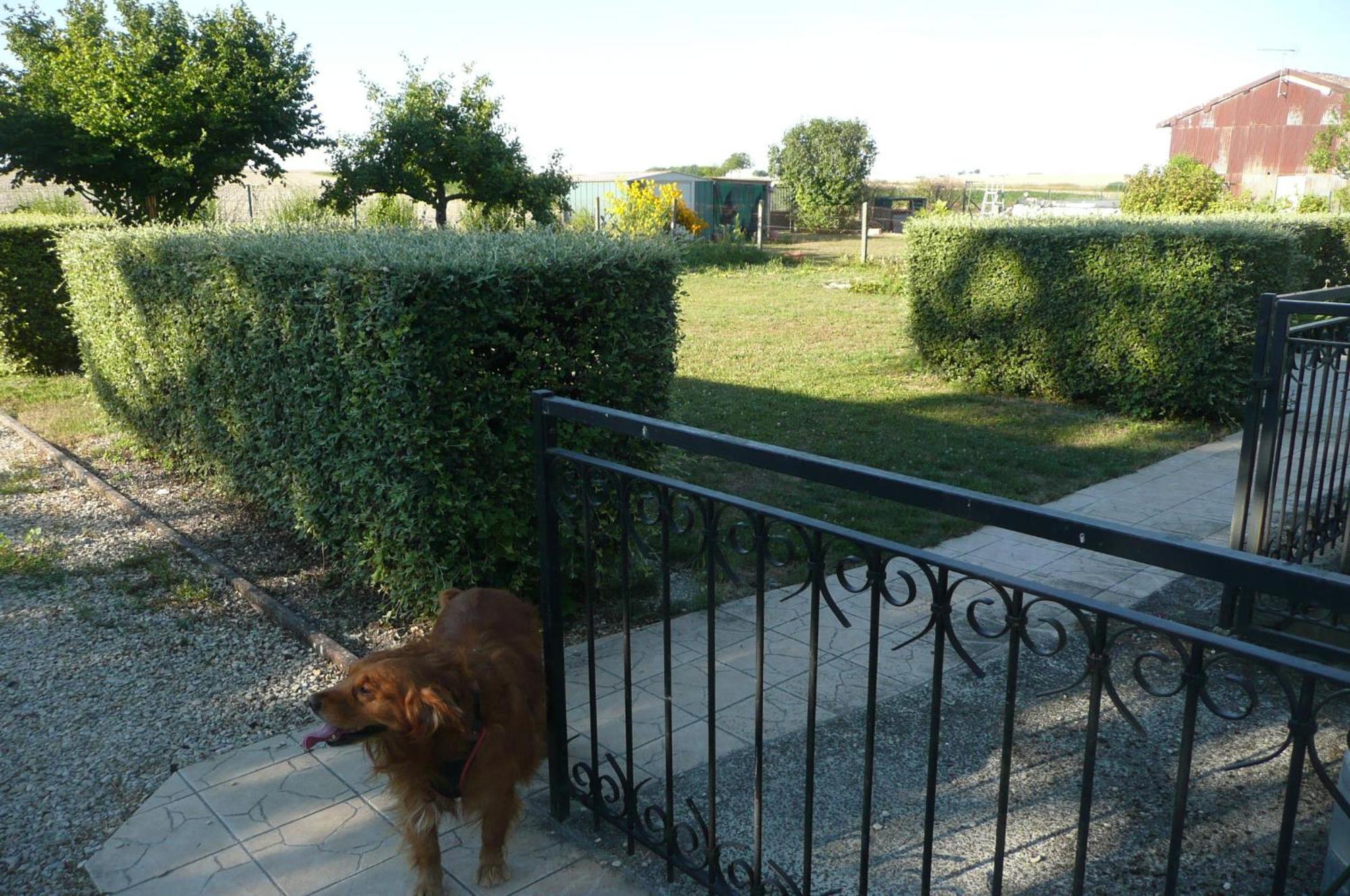 L'Haubette Villa Courtisols ภายนอก รูปภาพ